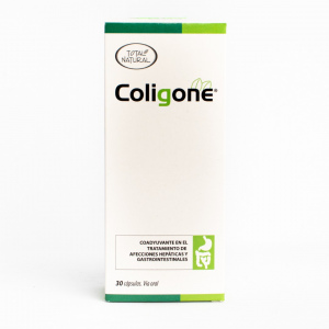 COLIGONE